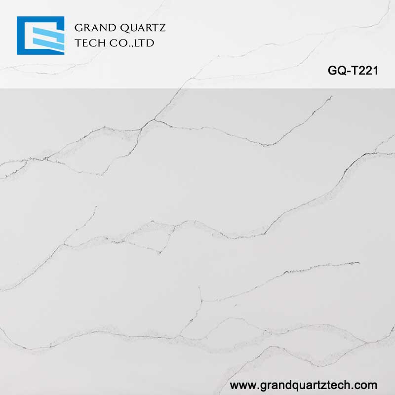 GQ-T221-quartz-detail.jpg 